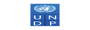 undp